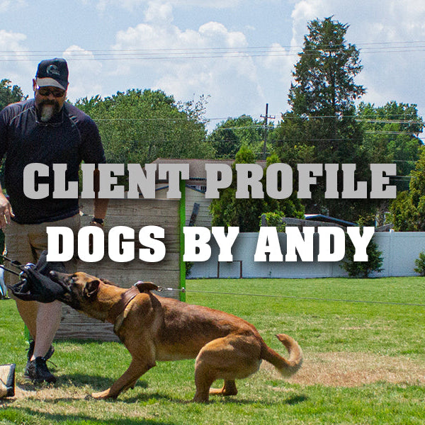 Client Profile: Dogs By Andy