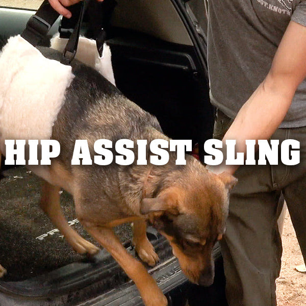 Product Feature: Hip Assist Sling