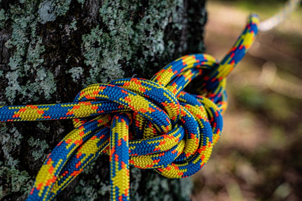 rope tied around tree with arborist knot