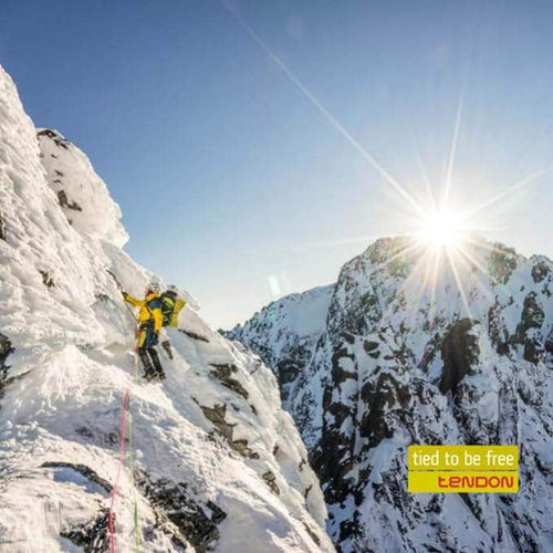 TEN-XE020TD01S000 Tendon