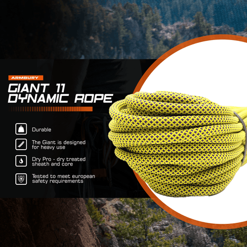 Giant 11mm Dynamic Climbing Rope