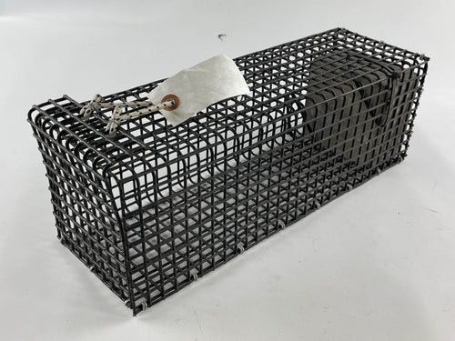 WD-MinnowTraps505 SGT KNOTS Supply Co