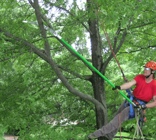 SGT KNOTS Arborist Gear