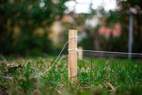 SGT KNOTS Mason Line