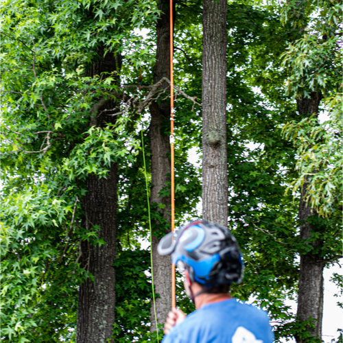 SK-PETL-18x1000 SGT KNOTS Supply Co